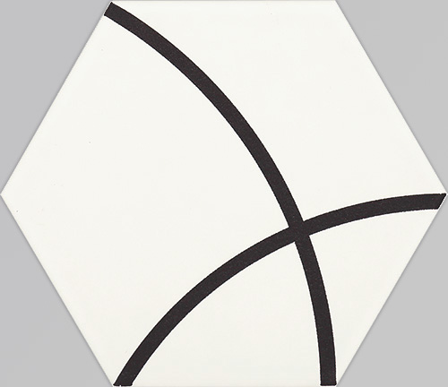 Carrelage hexagonal graphique
