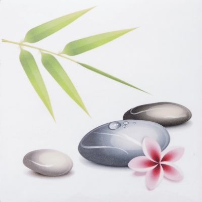 Carrelage salle de bain motif zen