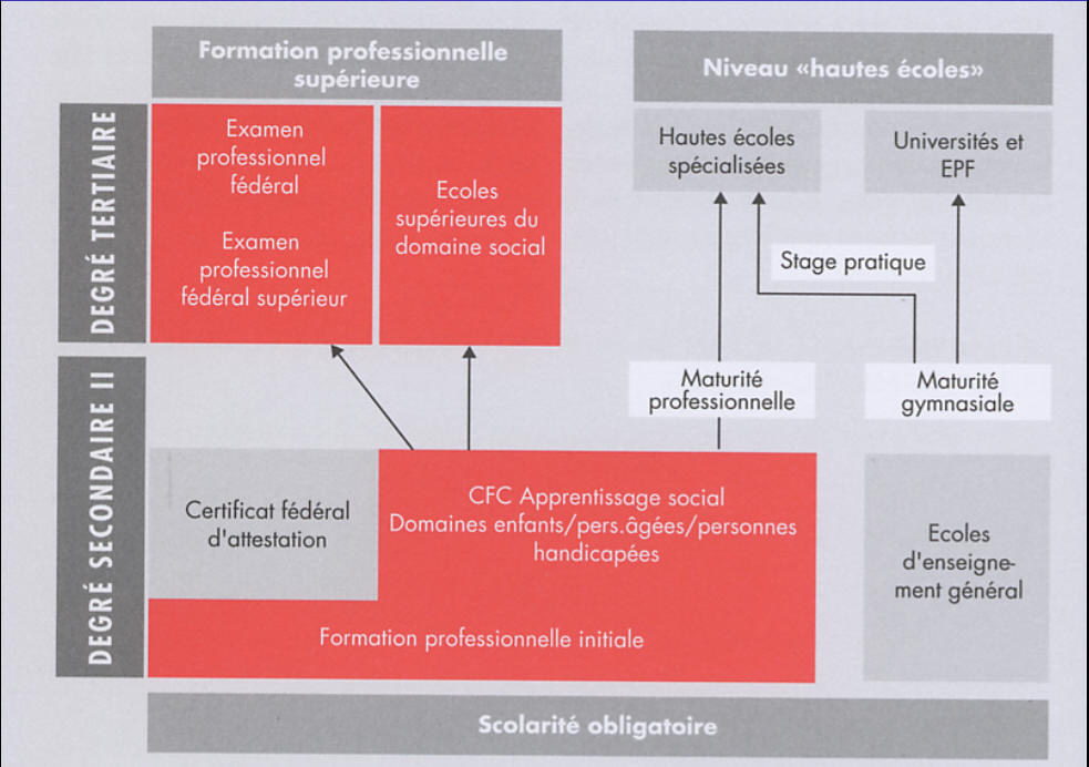 Plan de formation cuisine centrale