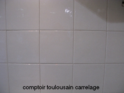 Carrelage blanc salle de bain 15x15