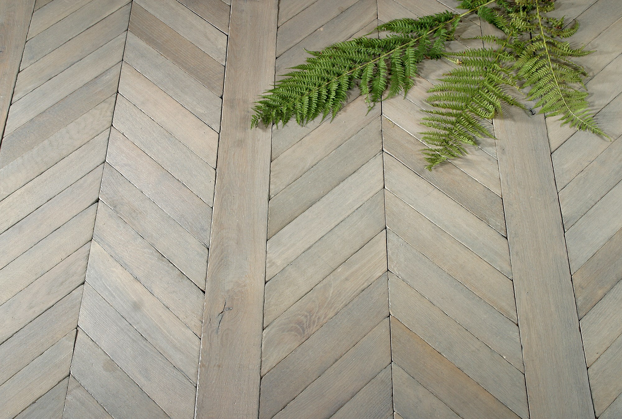 Carrelage parquet point de hongrie