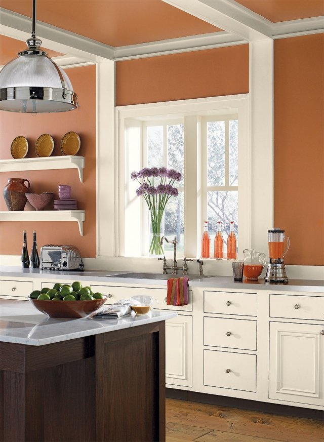 Couleur peinture cuisine marron
