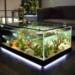 Table basse aquarium maxi zoo