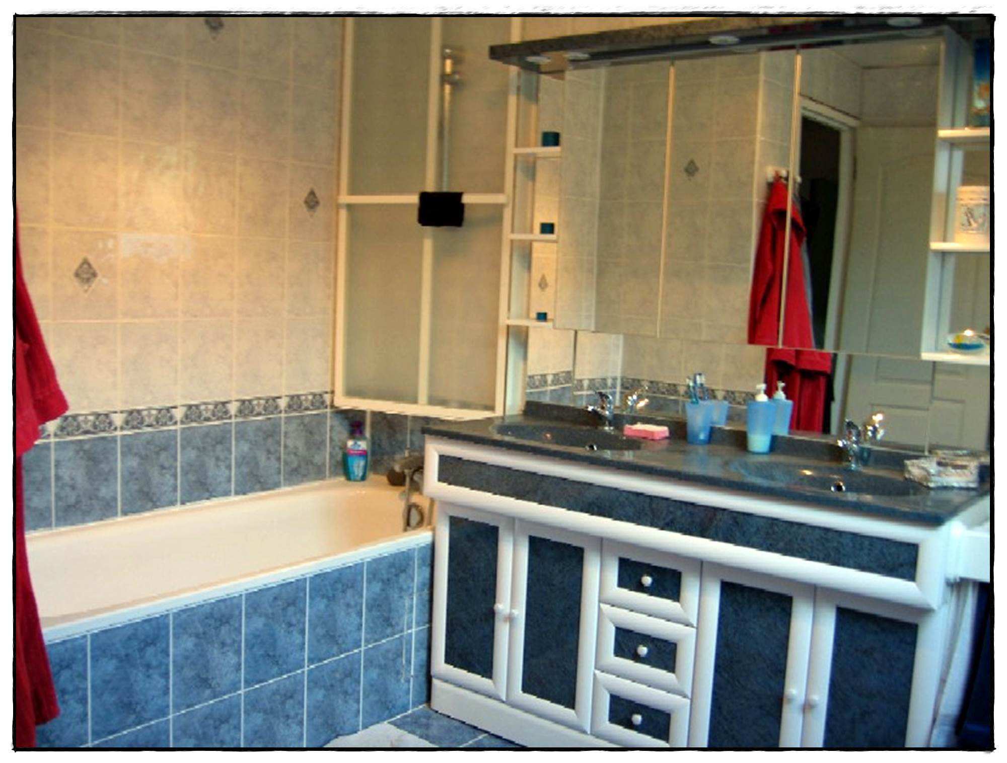 Carrelage brico depot fleury