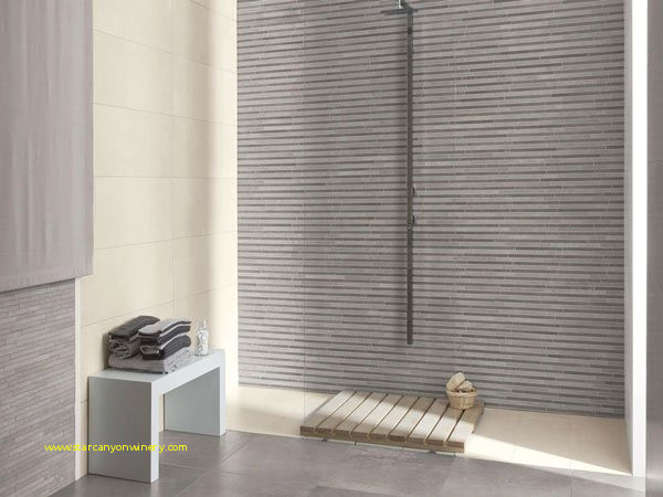 Aubade carrelage douche italienne