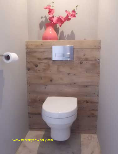 Carrelage wc mural