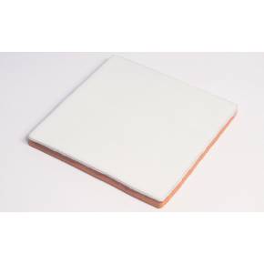 Carrelage blanc 10x10