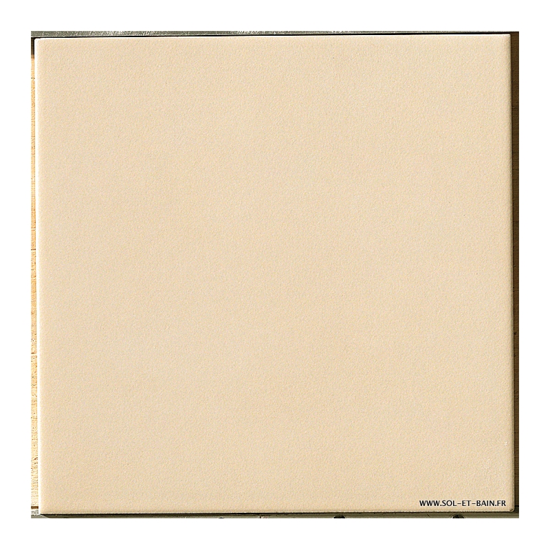 Carrelage antidérapant 20 x 20