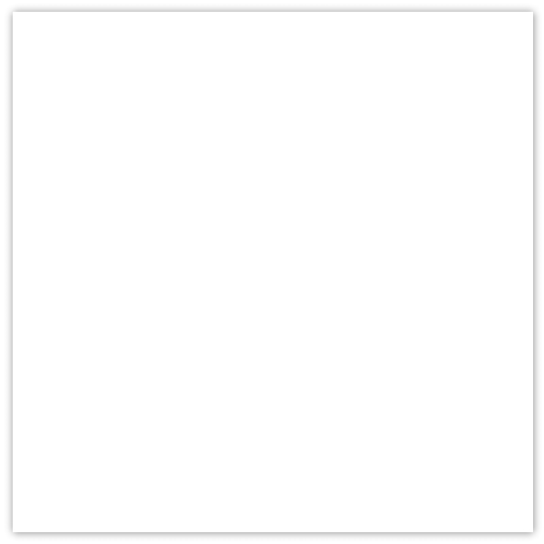 Carrelage blanc 20 x 20