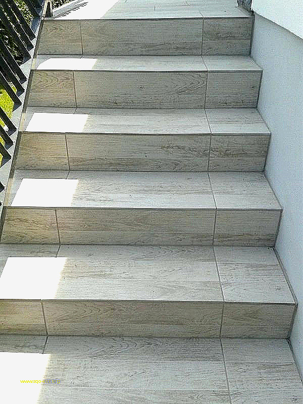 Carrelage exterieur nez de marche