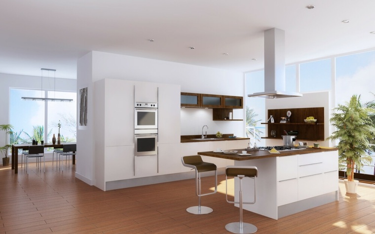 Plan maison cuisine semi ouverte