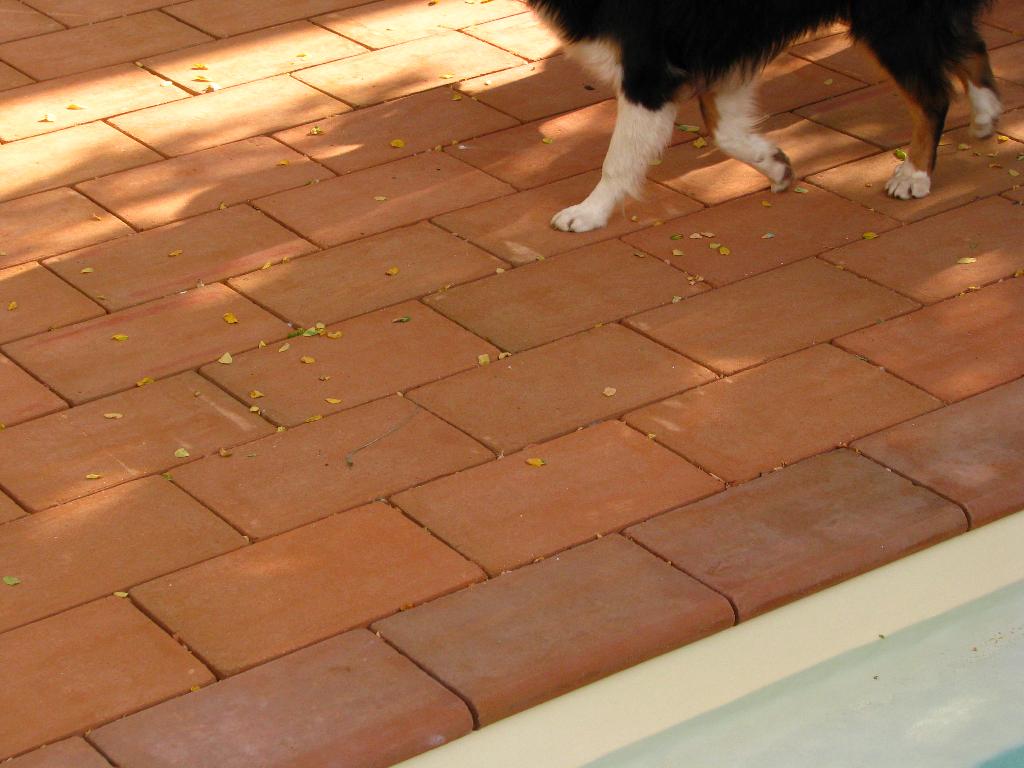 Carrelage terrasse couleur brique