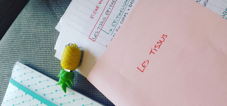 Plan de cuisine bts diététique