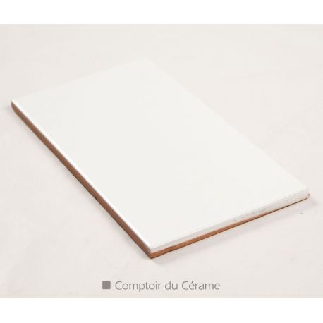 Carrelage blanc 10 x 20