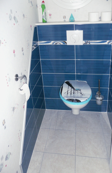 Carrelage toilette bleu