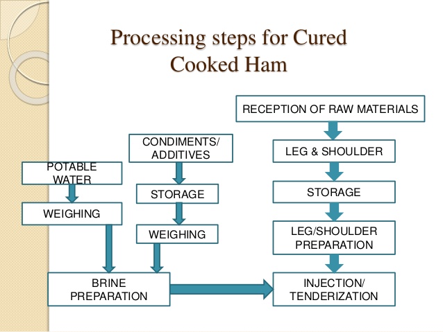 Plan cuisine haccp