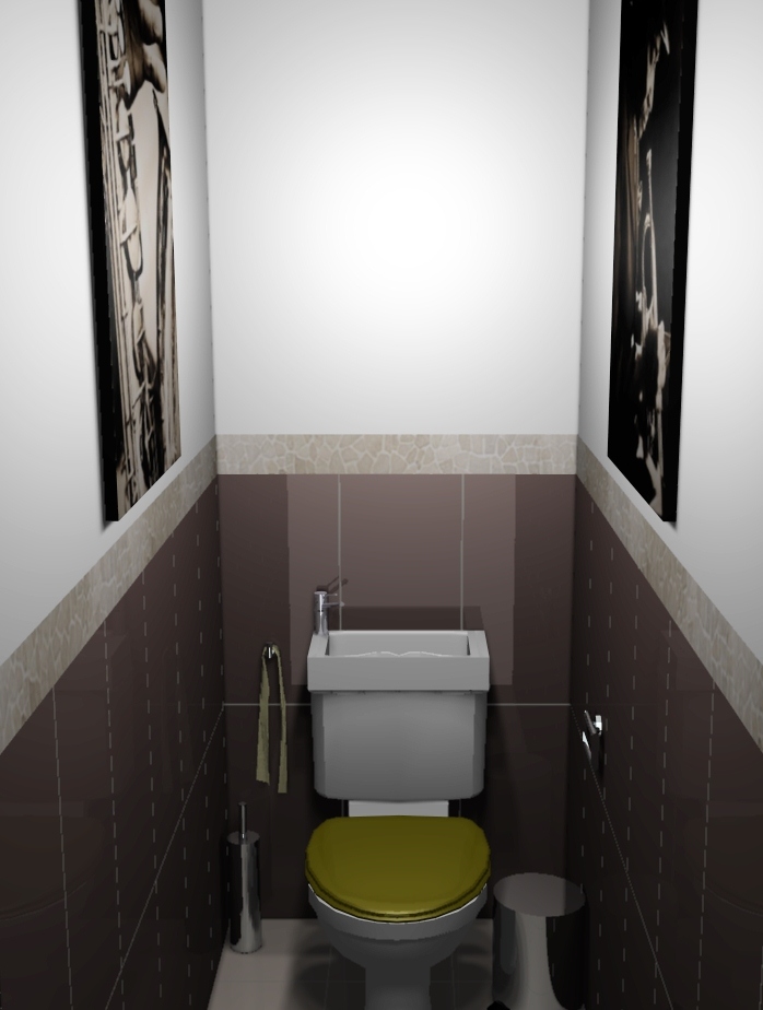 Peindre carrelage mural wc