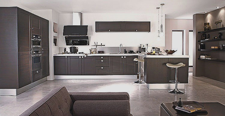 Idee deco salon cuisine moderne