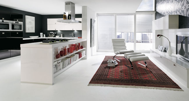 Modele de salon et cuisine
