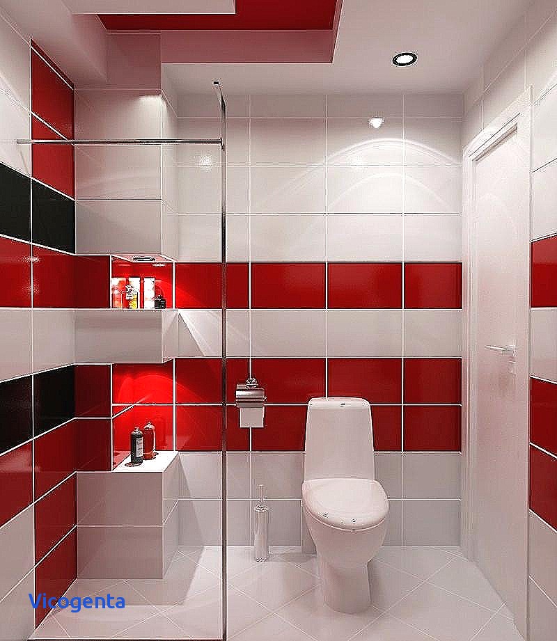 Carrelage wc rouge