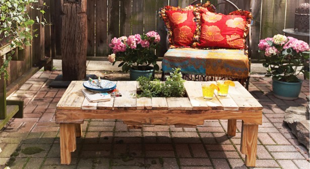 Table basse palette avec plante
