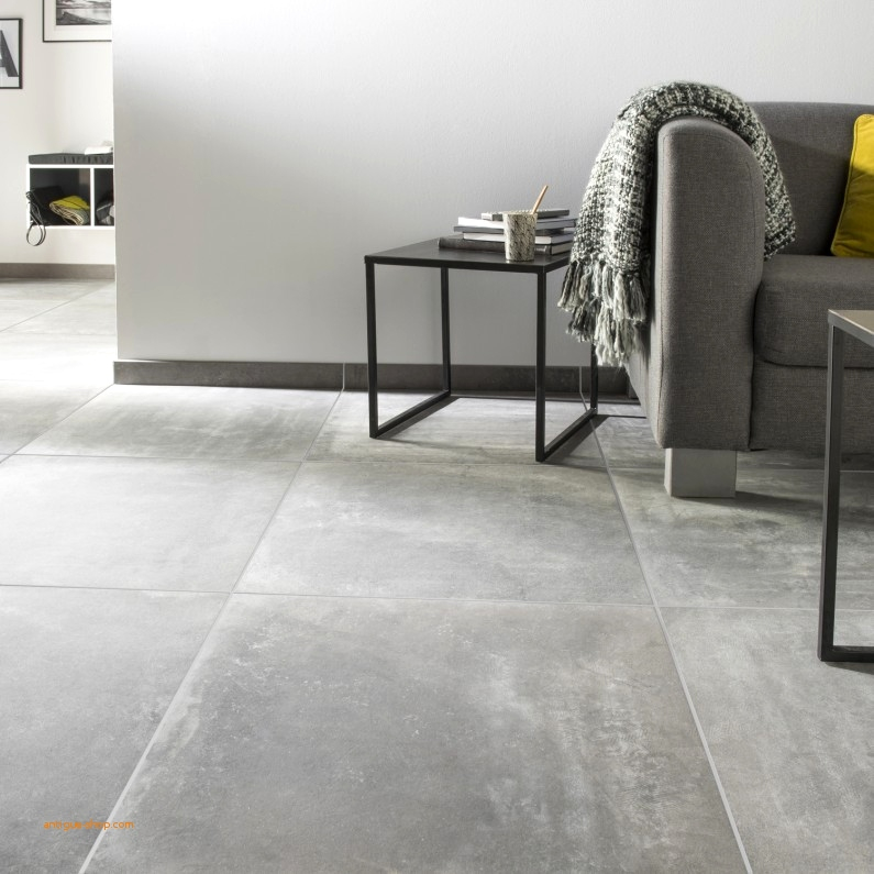 Carrelage gris sejour