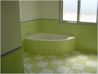 Carrelage blanc et vert