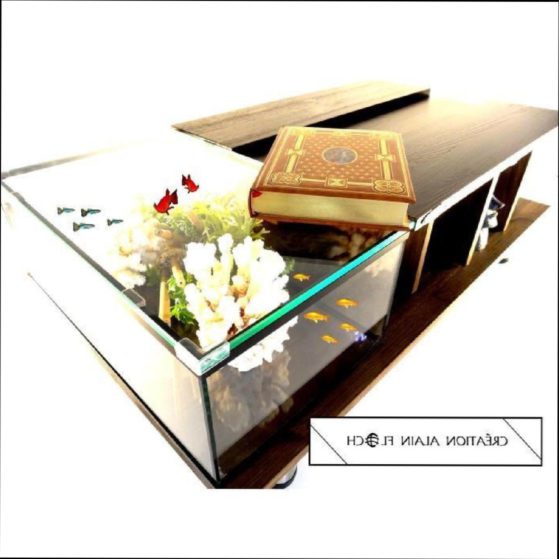 Table basse aquarium entretien
