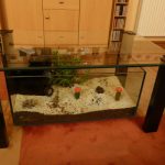 Table basse aquarium occasion belgique
