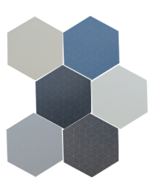 Carrelage hexagonal sol