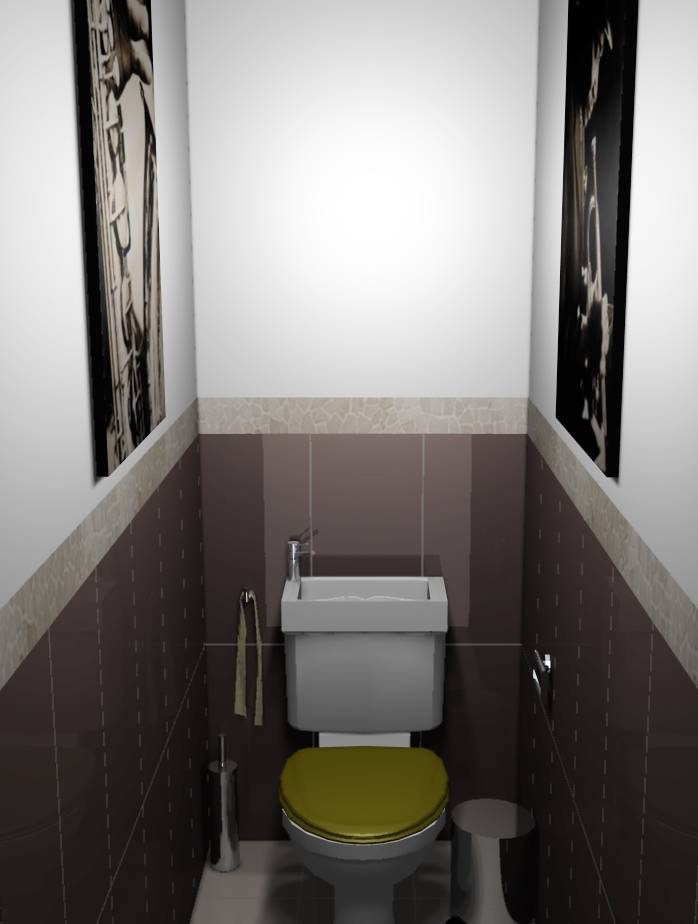 Carrelage wc taupe
